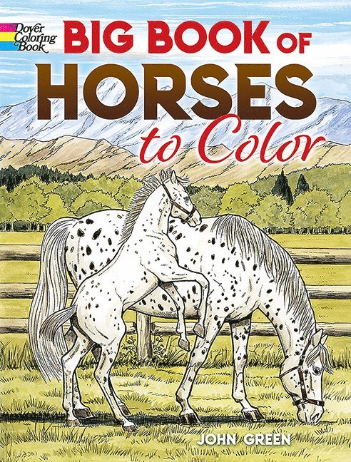 Big Book of Horses to Color 1