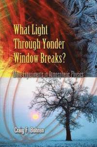 bokomslag What Light Through Yonder Window Breaks?