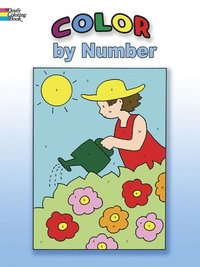 bokomslag Color by Number