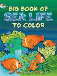 bokomslag Big Book of Sea Life to Color