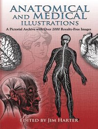 bokomslag Anatomical and Medical Illustrations