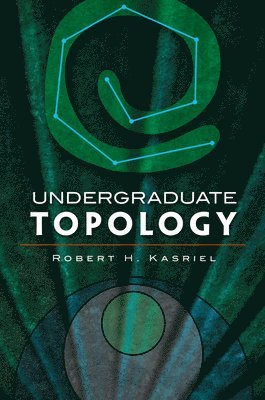 bokomslag Undergraduate Topology