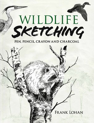 bokomslag Wildlife Sketching