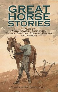bokomslag Great Horse Stories