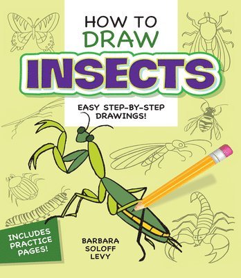 How to Draw Insects 1