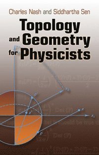 bokomslag Topology and Geometry for Physicists