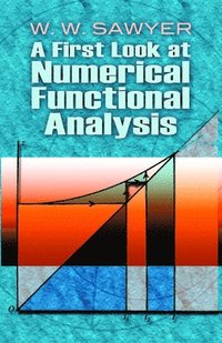 bokomslag A First Look at Numerical Functional Analysis