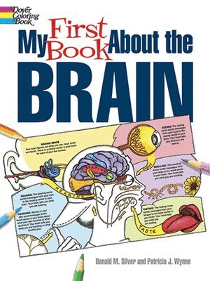 My First Book About the Brain 1