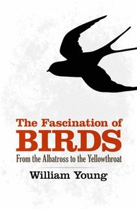 bokomslag The Fascination of Birds