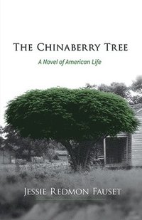 bokomslag The Chinaberry Tree