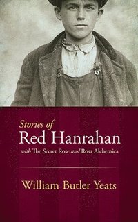 bokomslag Stories of Red Hanrahan