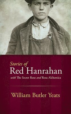 bokomslag Stories of Red Hanrahan