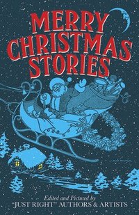 bokomslag Merry Christmas Stories