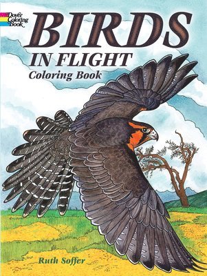 bokomslag Birds in Flight Coloring Book