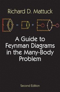 bokomslag Guide to Feynman Diagrams in the Many-body Problem