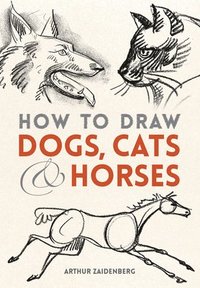 bokomslag How to Draw Dogs, Cats, and Horses