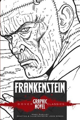 bokomslag Frankenstein (Dover Graphic Novel Classics)
