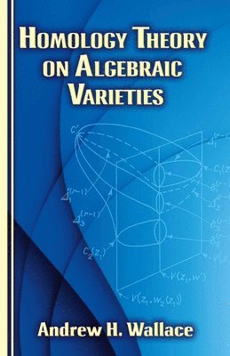 bokomslag Homology Theory on Algebraic Varieties