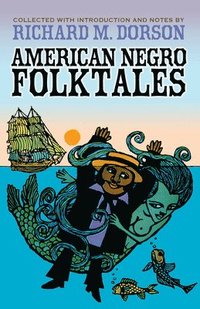 bokomslag American Negro Folktales