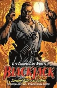 bokomslag Blackjack