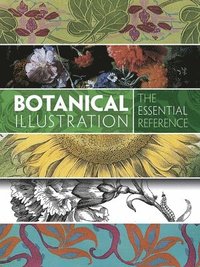 bokomslag Botanical Illustration: the Essential Reference