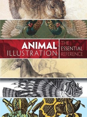 Carol Belanger Grafton - Animal Illustration: the Essential Reference, Häftad