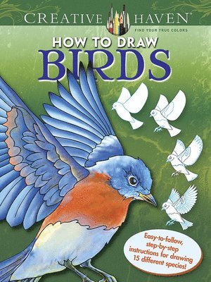 bokomslag Creative Haven How to Draw Birds
