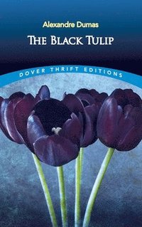 bokomslag Black Tulip