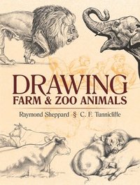 bokomslag Drawing Farm and Zoo Animals