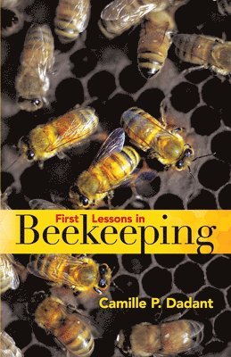 bokomslag First Lessons in Beekeeping