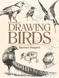 bokomslag Drawing Birds