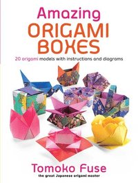 bokomslag Amazing Origami Boxes: 20 Origami Models with Instructions and Diagrams