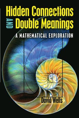Hidden Connections and Double Meanings: a Mathematical Exploration 1