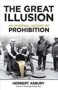 bokomslag The Great Illusion: an Informal History of Prohibition