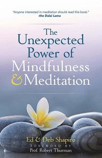 bokomslag The Unexpected Power of Mindfulness and Meditation