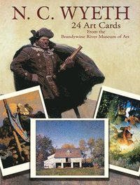bokomslag N. C. Wyeth 24 Art Cards: