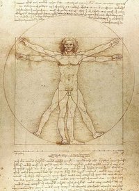 bokomslag Vitruvian Man Notebook