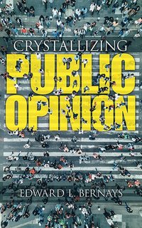 bokomslag Crystallizing Public Opinion