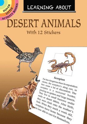 Learning About Desert Animals 1