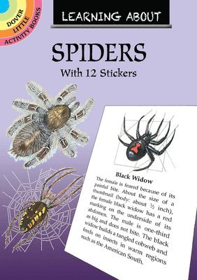 Learning About Spiders 1