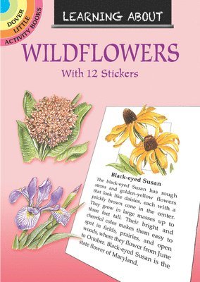 Learning About Wildflowers 1