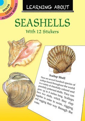 Learning About Shells