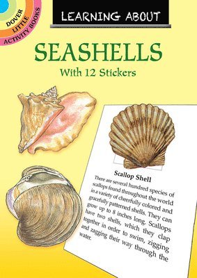 Learning About Shells 1