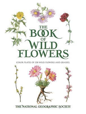 Book of Wild Flowers 1