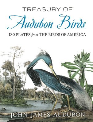 bokomslag Treasury of Audubon Birds