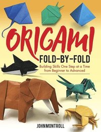 bokomslag Origami Fold-by-Fold