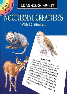 Learning About Nocturnal Creatures 1