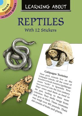 Learning About Reptiles 1