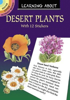 Learning About Desert Plants 1