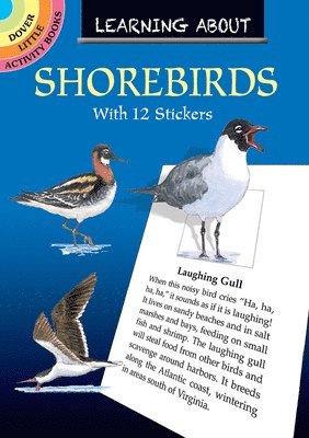 bokomslag Learning About Shorebirds